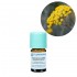 Helichrysum Italian Organic